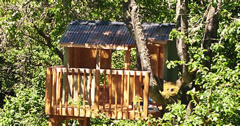 building  treehouse hometalk