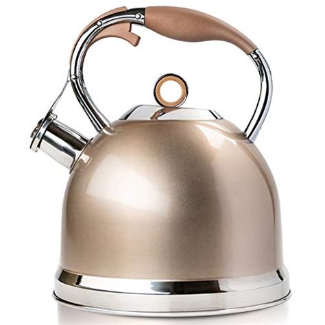 electric whistling tea kettle reviews buying guide