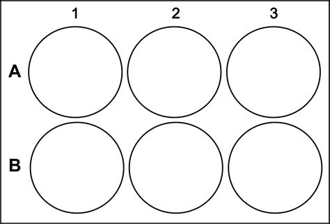 plate template
