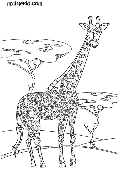 giraffe coloring pages  children print