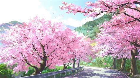 anime pink blossom tree wallpaper mural wall