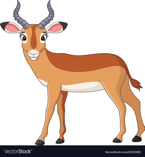cartoon impala royalty  vector image vectorstock