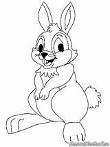 Mewarnai Kelinci Rabbits Hewan Animali Sketsa Montagna Coelhos Ayomewarnai Ayo Diwarnai Untuk Titan sketch template