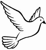Dove Spirit Holy Clipart Clip sketch template