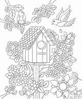 Coloring Pages Bird Adults House Birdhouse Spring Kids Adult Floral Flower Book Freebie Birds Flowers Color Colorit Drawing Printable Size sketch template