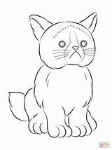 Coloring Cat Grumpy Pages Webkinz Printable Drawing Baby Color Version Click Isaac Spa Themed Getdrawings Designlooter Print Categories sketch template