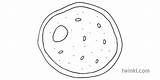 Yeast Biology Eukaryotic Ks3 Yeasts Candida Cryptococcus Neoformans Heterogeneous Saccharomyces Fundamental Organism Budding sketch template