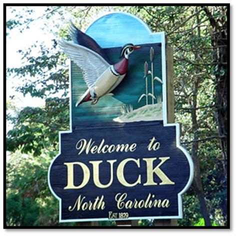 visit  outer banks spring  secluded duck nc travel blog