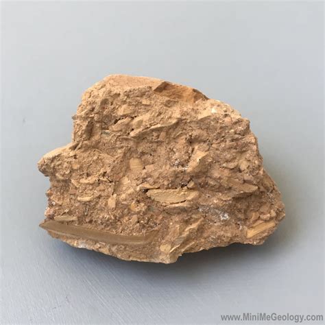 sedimentary breccia sedimentary rock mini  geology