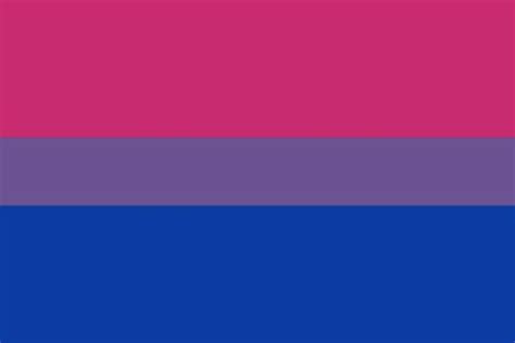 Bisexual Flag Feet X Feet Brass Eyelets Polyester Bi Sexual Pride My