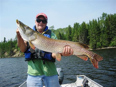 bow narrows camp blog on red lake ontario why you should