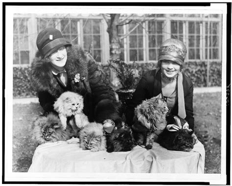 cats women   connection biodiversity heritage library