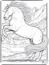 Cavalos sketch template