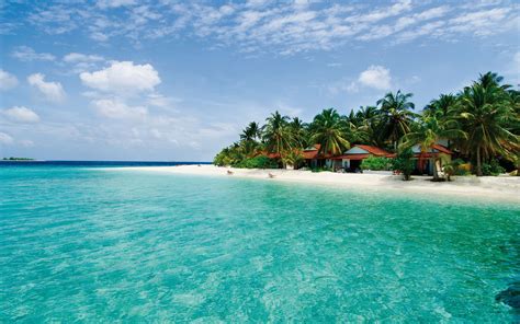 maldives island sea palm trees beach landscape ocean beaches wallpapers hd desktop