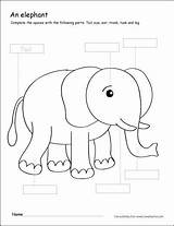 Elephant Parts Color Grade First Cleverlearner Worksheets Preschool Activities Coloring Writing Colour Kindergarten Printable Sheet Label Animals Kids Sheets Elephants sketch template