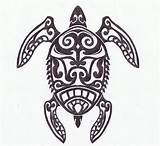 Turtle Sea Tribal Drawings Deviantart Hybrid Turtles Drawing Animals Clipart Coloring Google sketch template