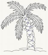 Palm Tree Draw Drawing Easy Leaf Small Trees Leaves Drawings Step Texture Easydrawingguides Add Lines Bark Guides Pencil Getdrawings Arrowhead sketch template