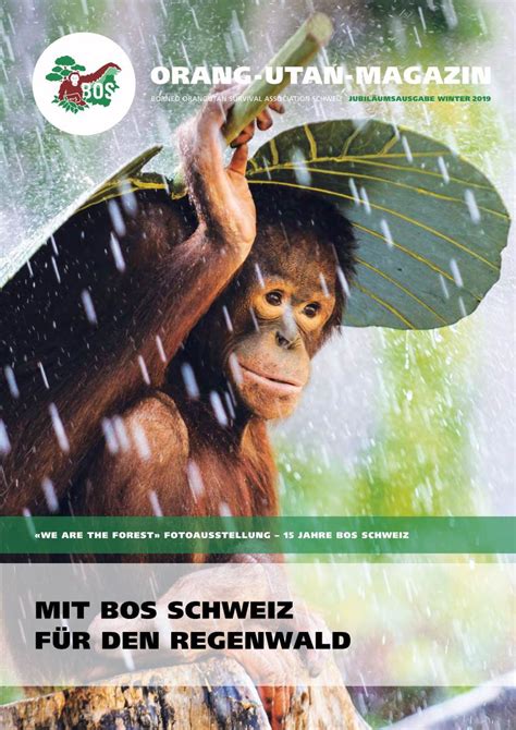 mit bos schweiz fuer den regenwald  utan magazin docslib