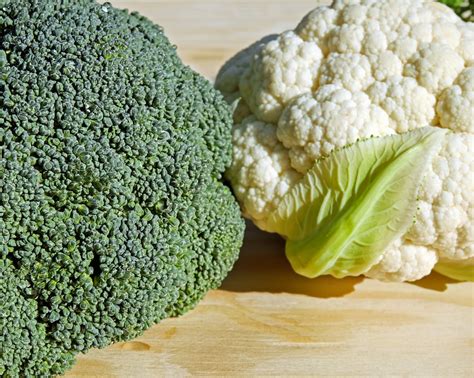 bloemkool en broccoli zoek de verschillen vijftigenmeer