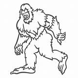 Bigfoot Sasquatch Duotone Knurren Gehen Growling Mythical Vexels Caminando Contorno Speichern sketch template