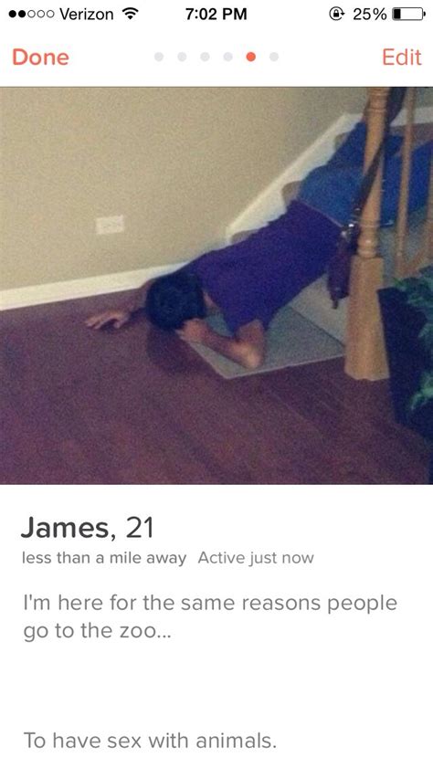 tinder profiles that get right to the point funny gallery ebaum s world