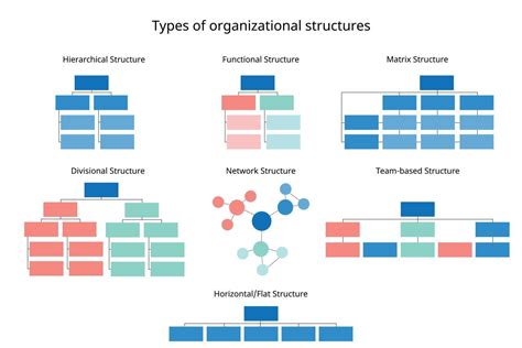 types  organizational structures  organize  company