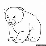 Coloring Bear Baby Pages Animal Polar Cub Animals Kids Color Thecolor Books Popular Cat sketch template