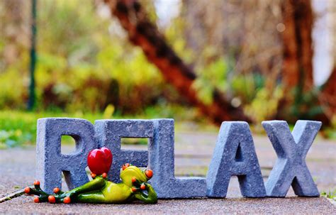 images leaf green relax color autumn rest frog season serenity letters break