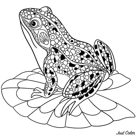 coloring pages  frogs coloring pages kids
