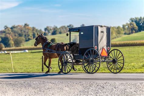 top     amish country ohio  great family destination
