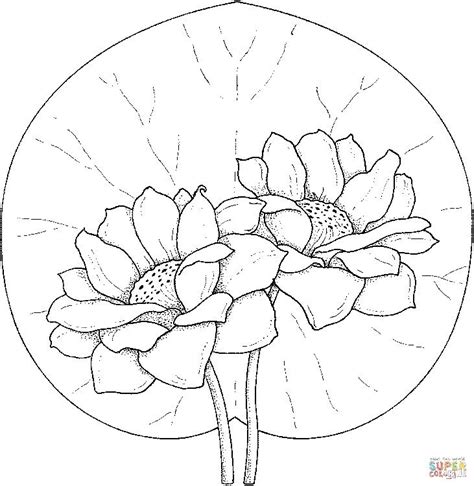 pin  marga van ulden  water lily coloring pages fabric painting
