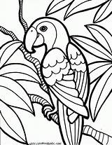 Parrot Cinderella sketch template