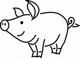 Pig Outline Clipart Drawing Library Clip Line sketch template