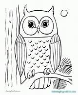 Coloring Owl Adult sketch template