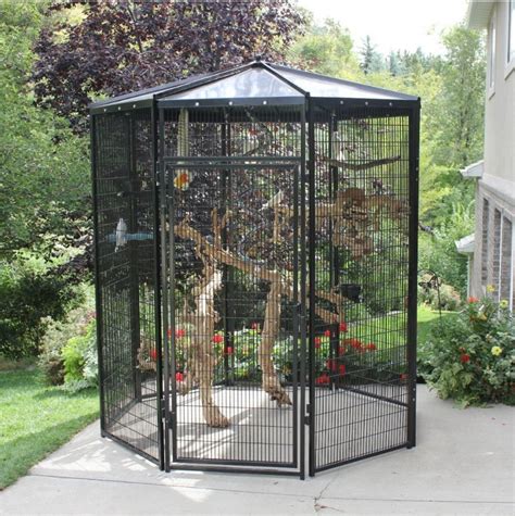 large parrot cage texas