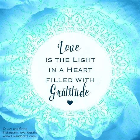 love   light   heart filled  gratitude quote wealth affirmations gratitude