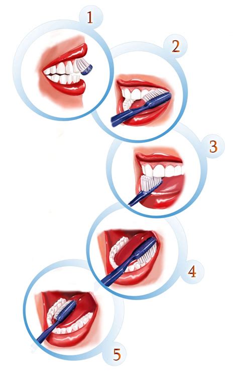 methods  steps proper tooth brushing techniques