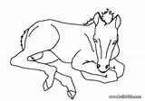 Foal Coloring Pages Dessin Cheval Horse Color Print Imprimer Drawings Hellokids Dessins Online Sur sketch template