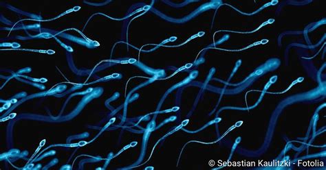 Blut Im Sperma Ursachen Behandlung Risiken Netdoktor De
