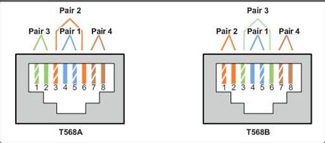 cat  wiring diagram  wall plates    wiring diagram  schematic