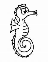 Coloring Seahorse Pages Clipart Clip Cute sketch template