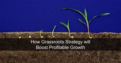 grassroots strategy  boost profitable growth