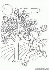 Jahreszeiten Wiosna Roku Colorkid Pory Primavera Kolorowanki Sfera Ragazzo Printemps Kolorowanka Kugel Estaciones Willow Chłopiec Bola Muchacho Stagioni Garçon Saisons sketch template