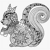 Mandala Squirrel sketch template