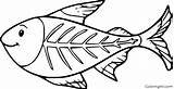 Coloring Pages Fish Ray Printable Easy Drawing Cartoon Color Tetra Format Vector sketch template