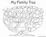 Tree Family Coloring Blank Kids Chart Template Plum Color Trees Templates Printable Plums Graphics sketch template