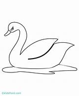 Swan Drawing Coloring Pages Simple Drawings Easy Book Cute Kids Baby Google Print Nl Animals Sketches Template Hens Penguin Color sketch template
