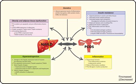 frontiers non alcoholic fatty liver disease across endocrinopathies