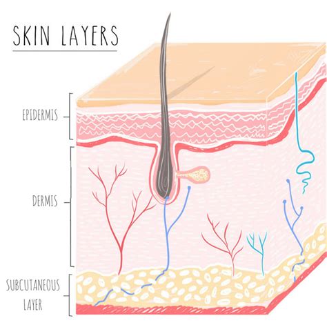 napfeny mentesit natura upper layer  skin radir meltosagteljes javaslat