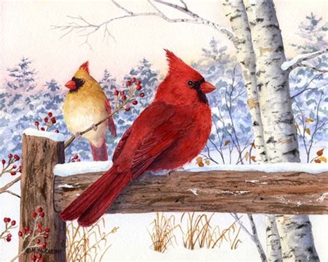 cardinal pair  birch fine art print  maureen mccarthy  fulcrumgallerycom